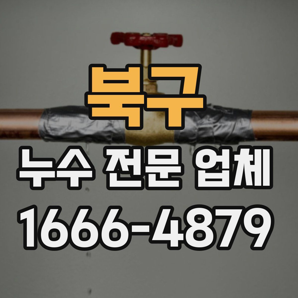 북구 누수 전문 업체