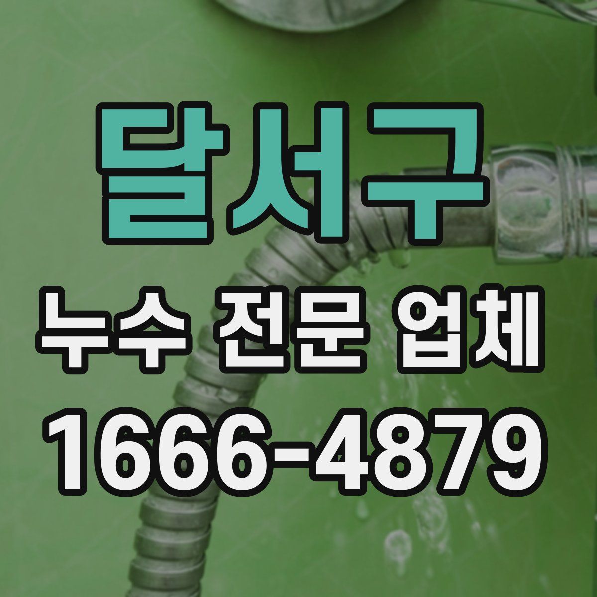 달서구 누수 전문 업체
