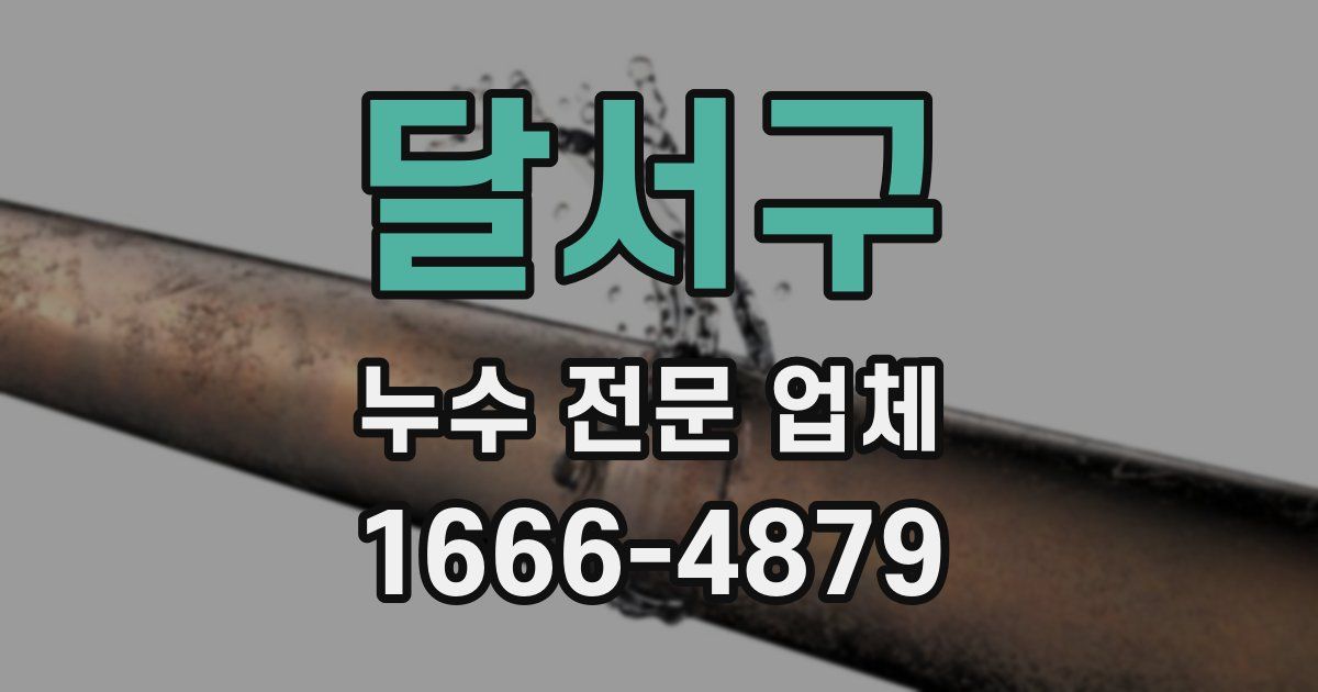 달서구 누수 전문 업체