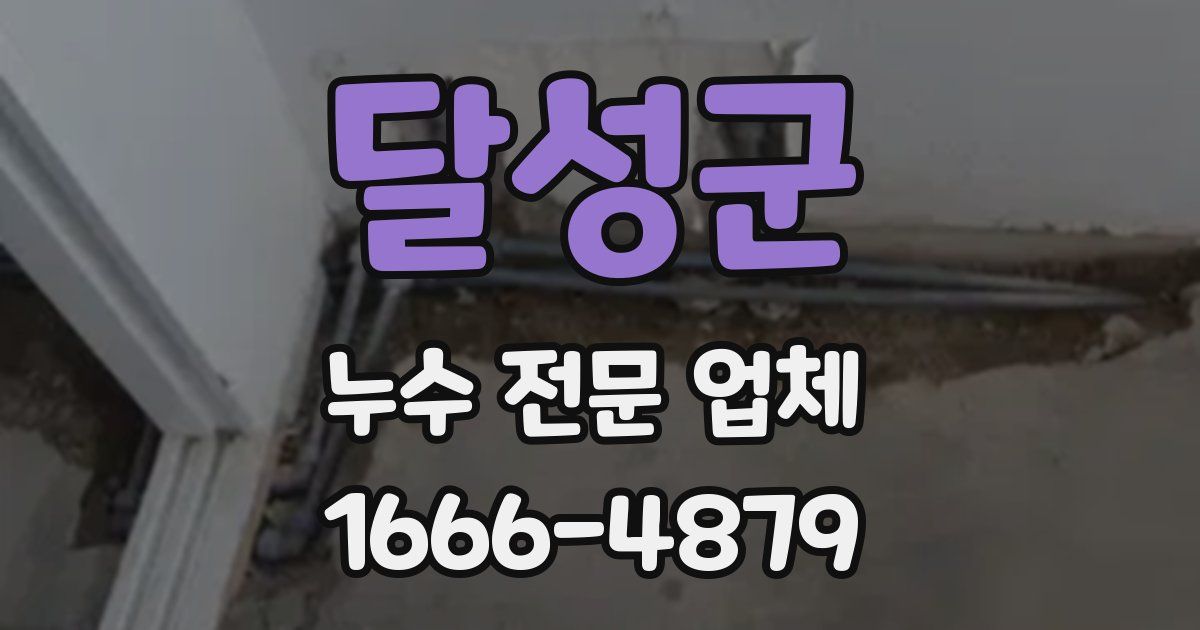 달성군 누수 전문 업체