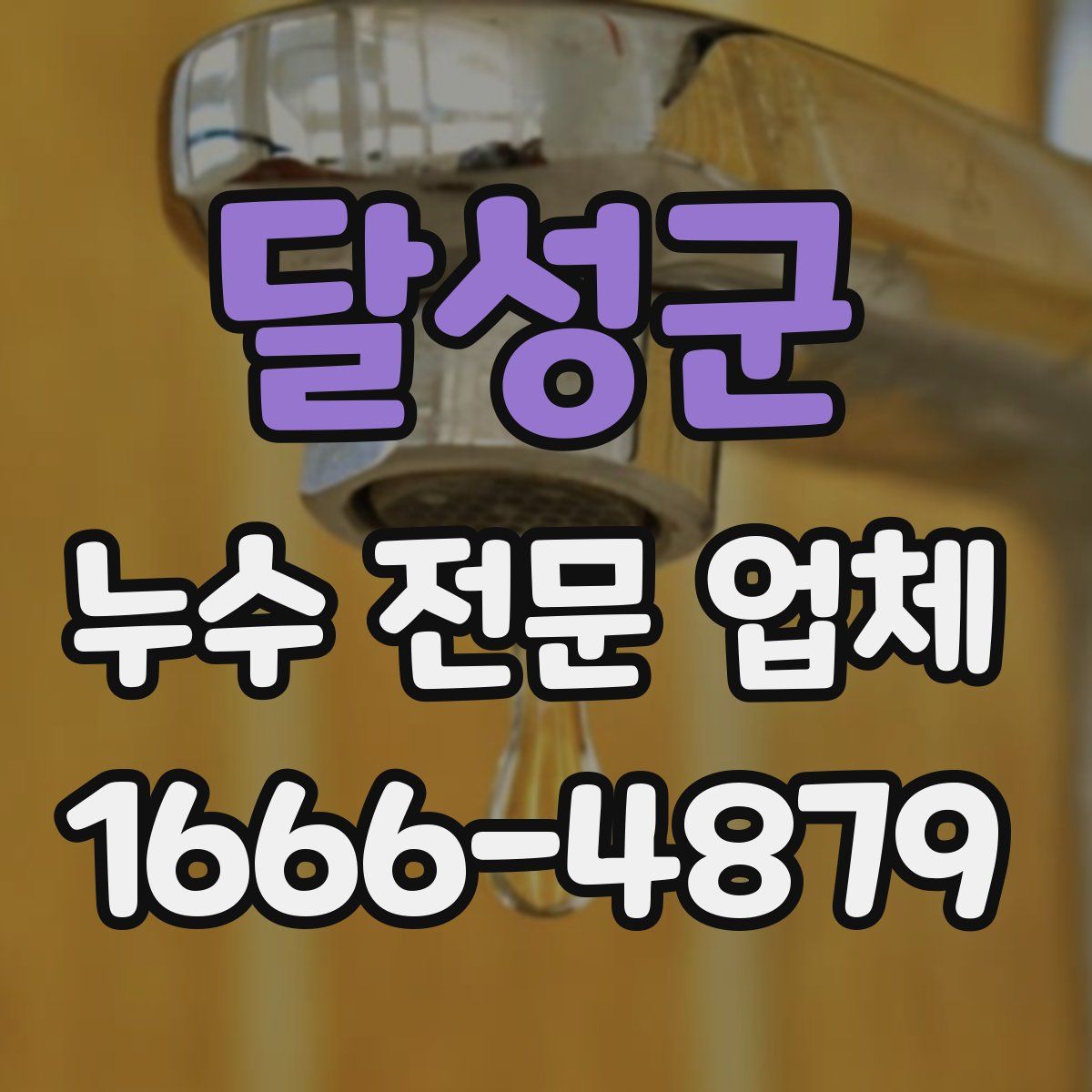 달성군 누수 전문 업체