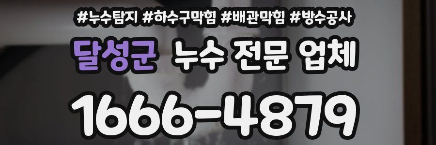달성군 누수 전문 업체