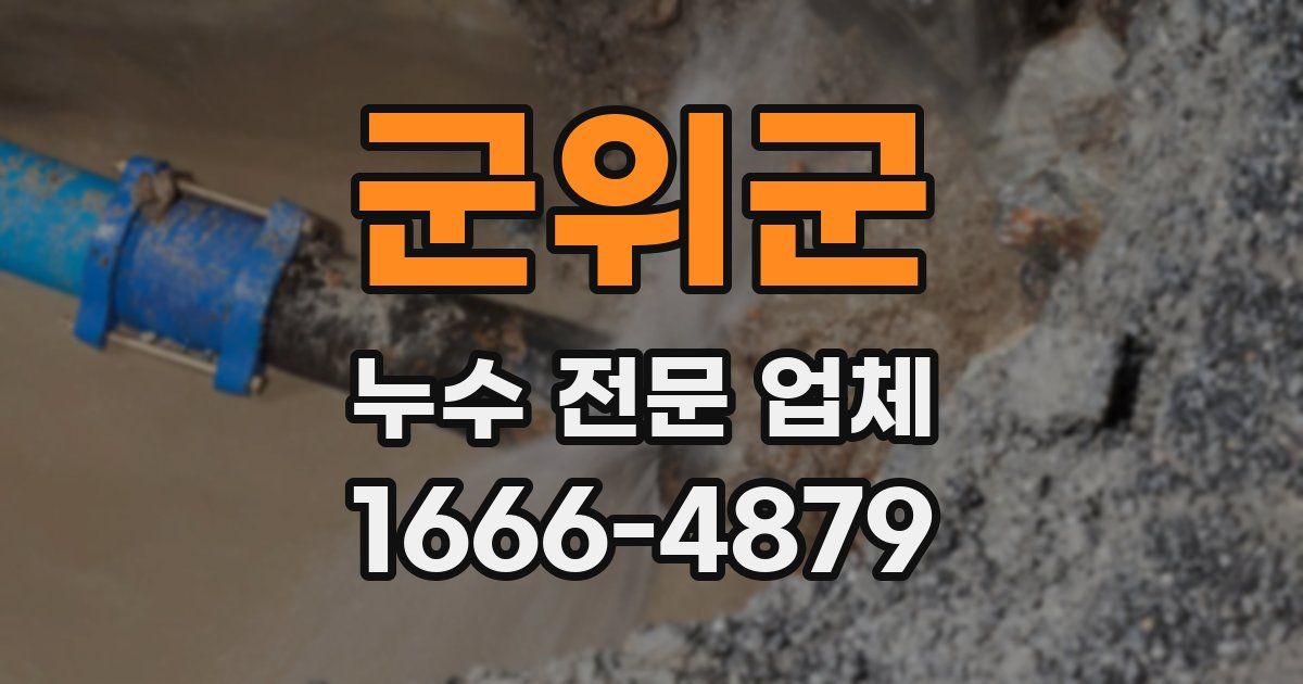군위군 누수 전문 업체