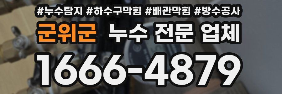 군위군 누수 전문 업체