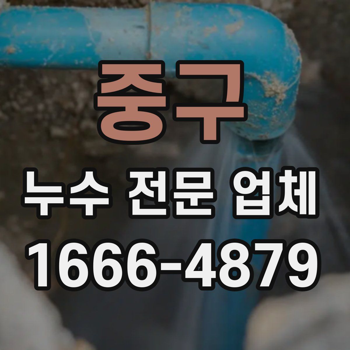 중구 누수 전문 업체