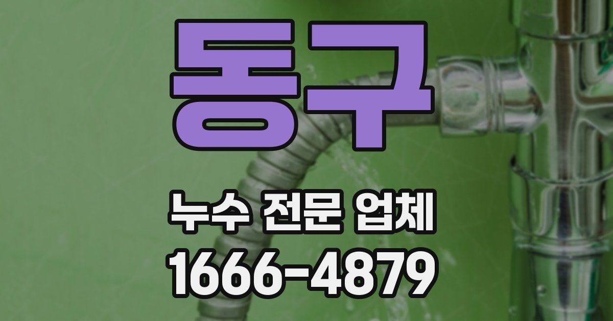 동구 누수 전문 업체