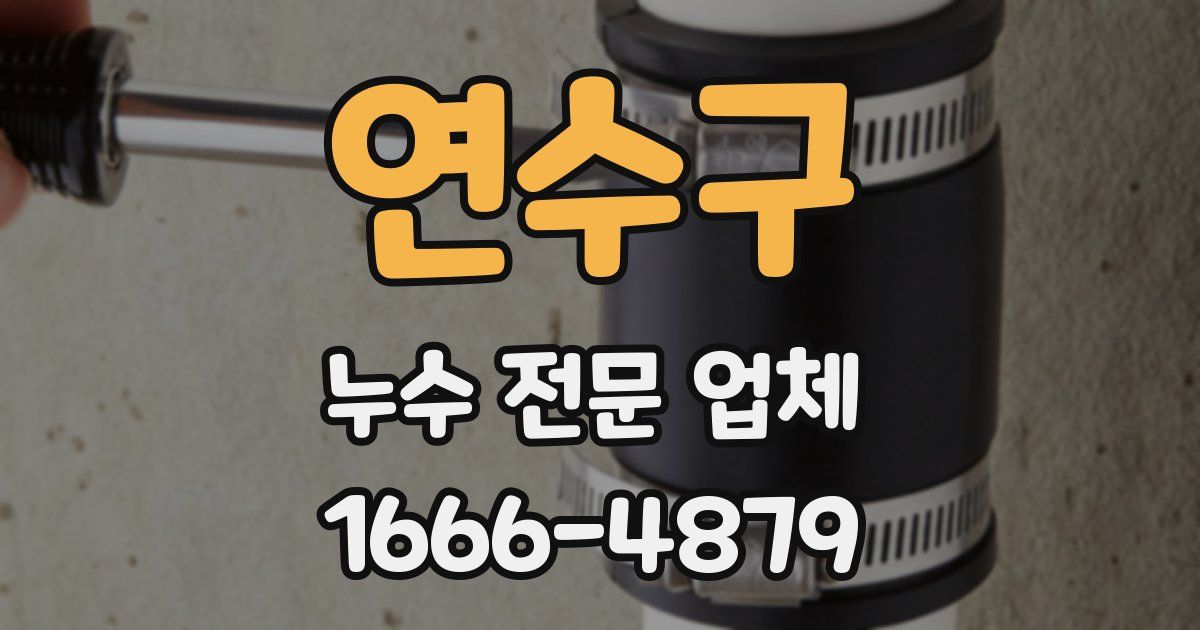 연수구 누수 전문 업체