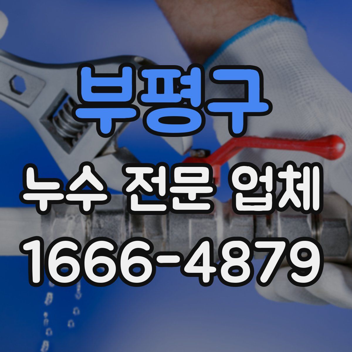 부평구 누수 전문 업체