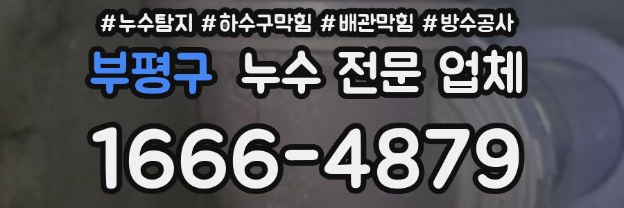 부평구 누수 전문 업체