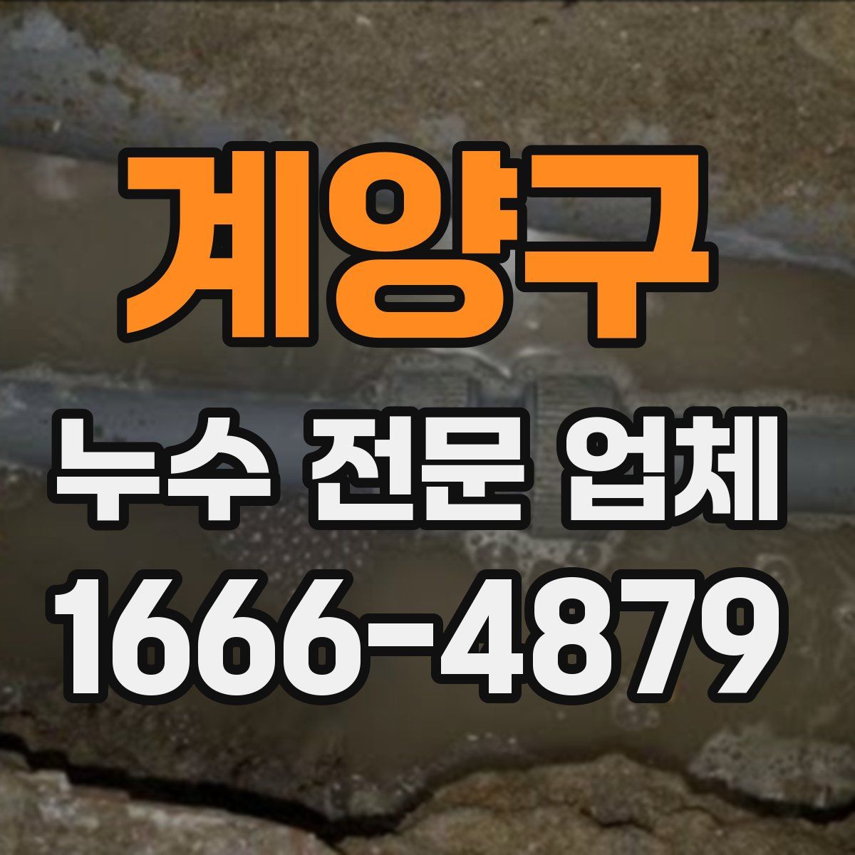 계양구 누수 전문 업체