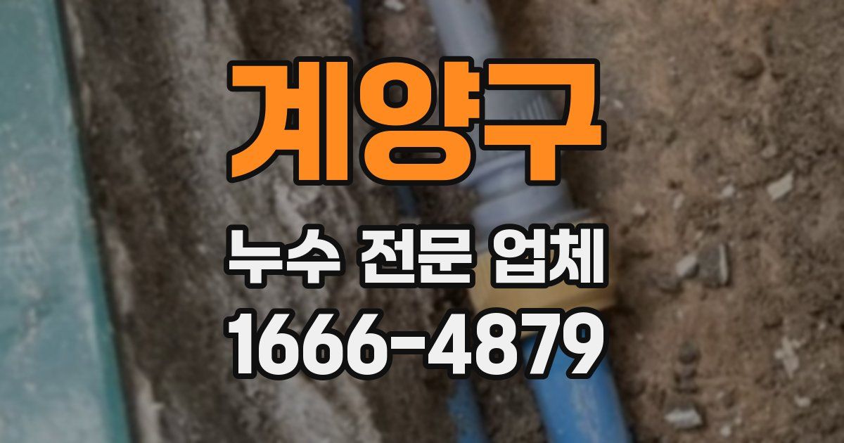 계양구 누수 전문 업체