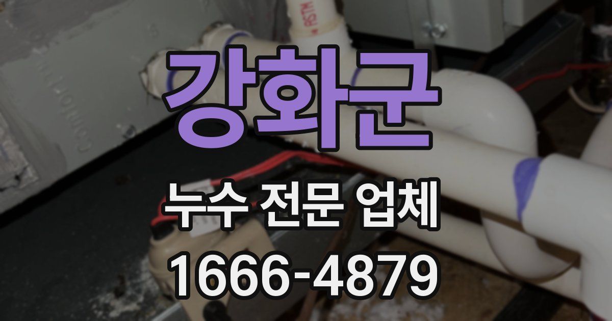 강화군 누수 전문 업체