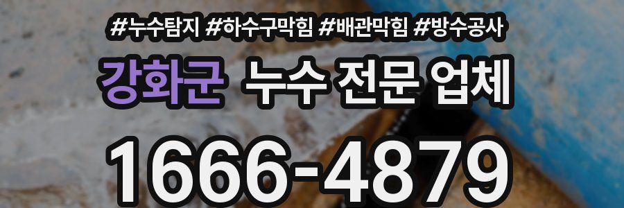 강화군 누수 전문 업체