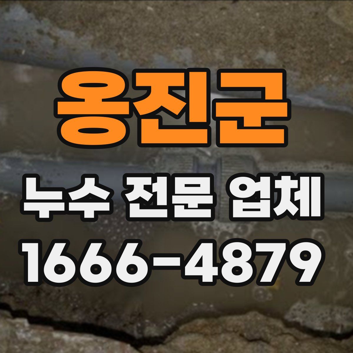 옹진군 누수 전문 업체