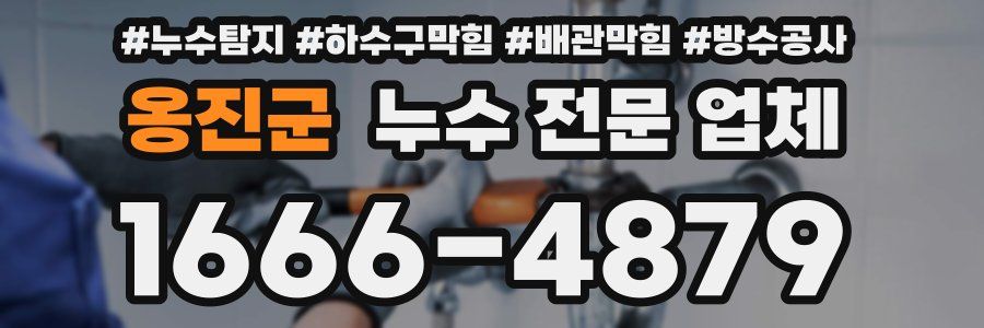 옹진군 누수 전문 업체