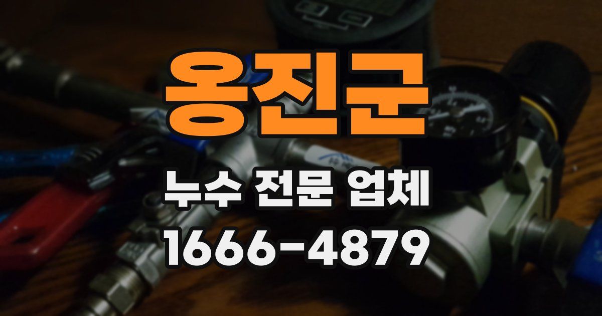 옹진군 누수 전문 업체