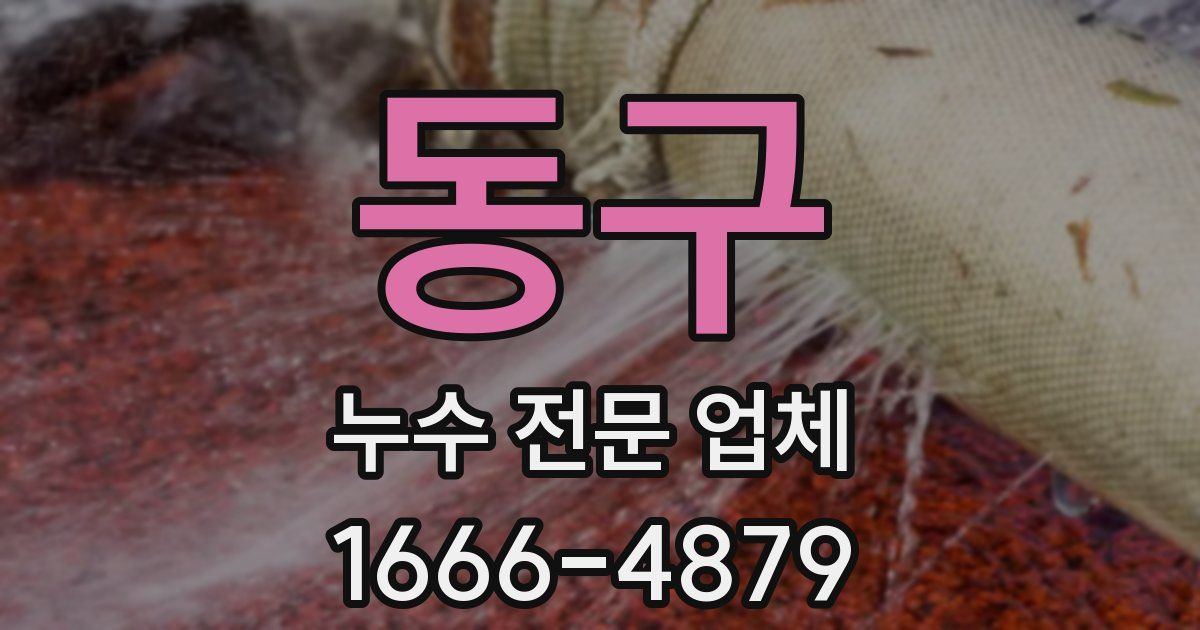 동구 누수 전문 업체