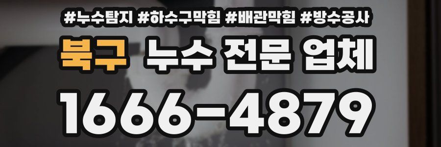북구 누수 전문 업체