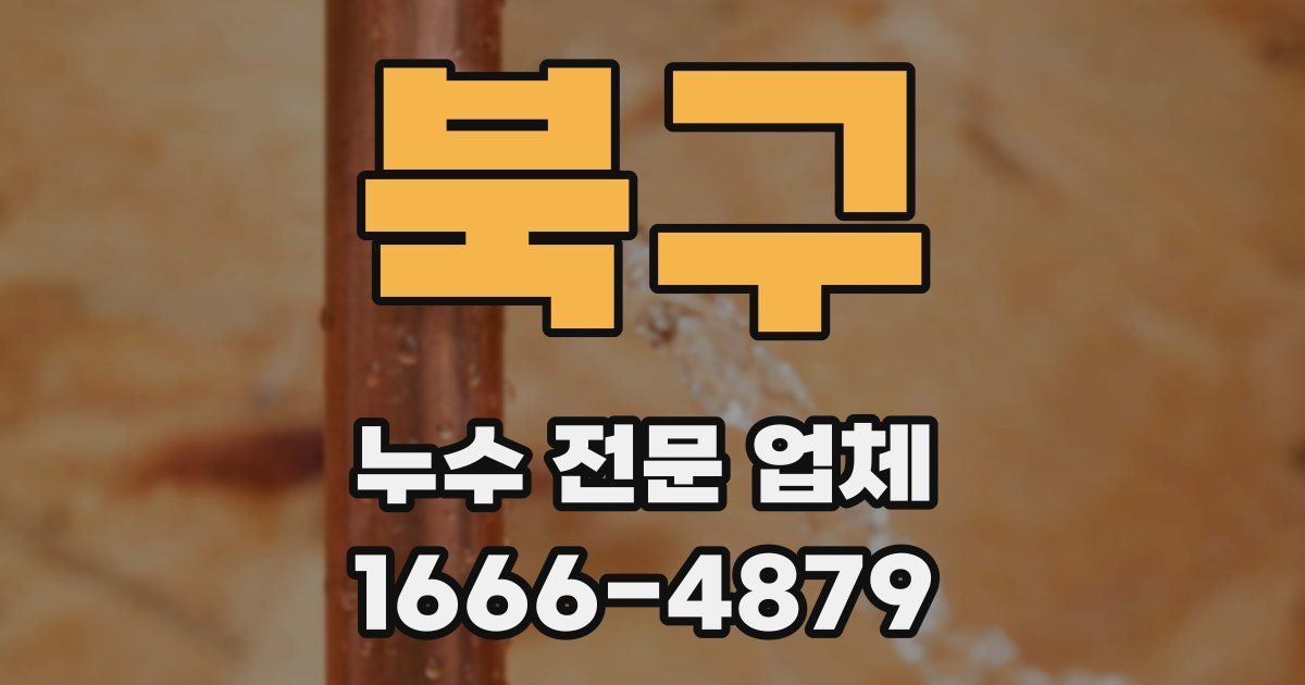 북구 누수 전문 업체