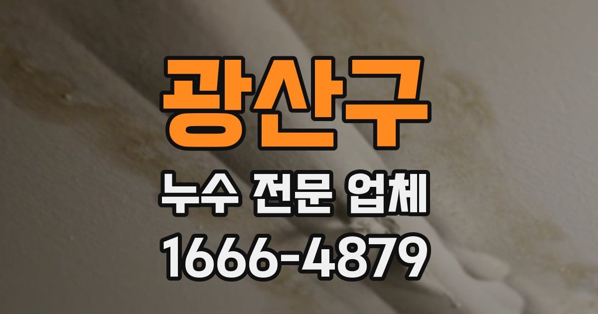 광산구 누수 전문 업체