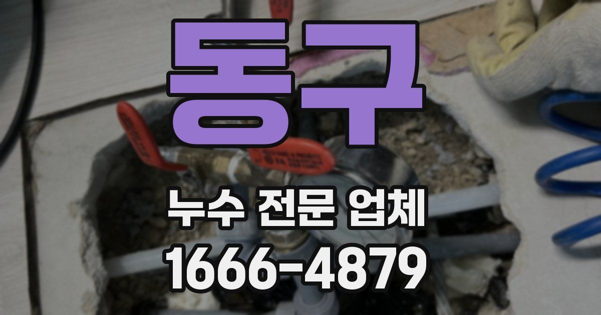 동구 누수 전문 업체
