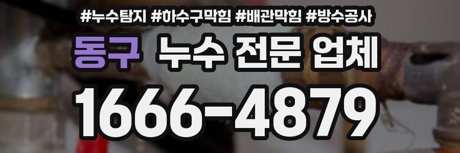 동구 누수 전문 업체