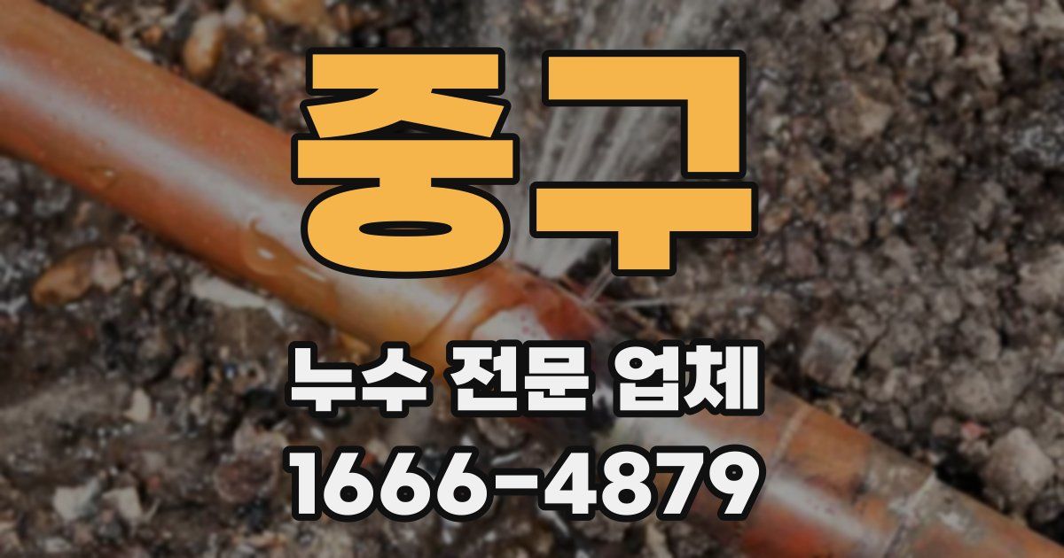 중구 누수 전문 업체