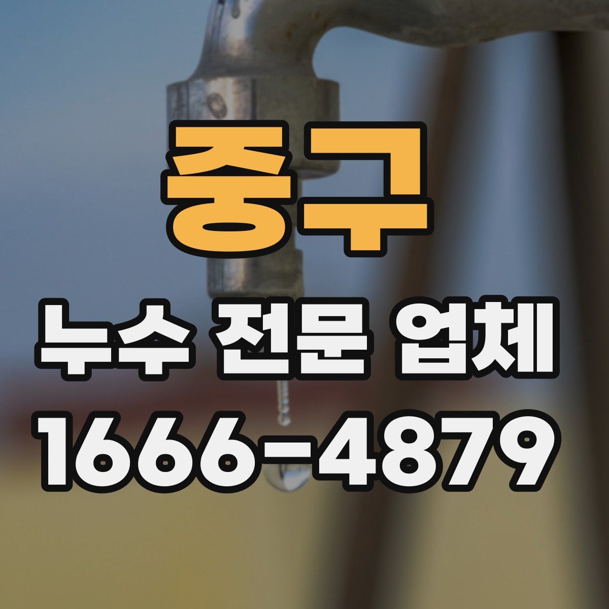 중구 누수 전문 업체