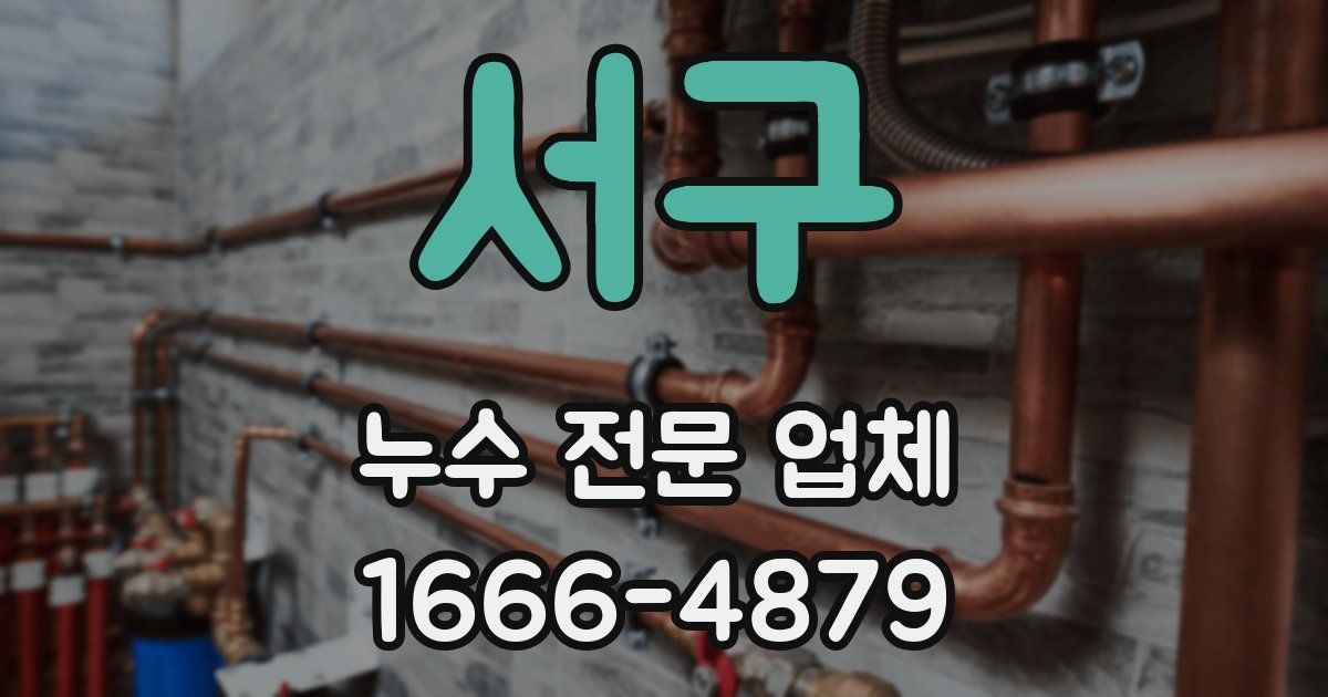 서구 누수 전문 업체