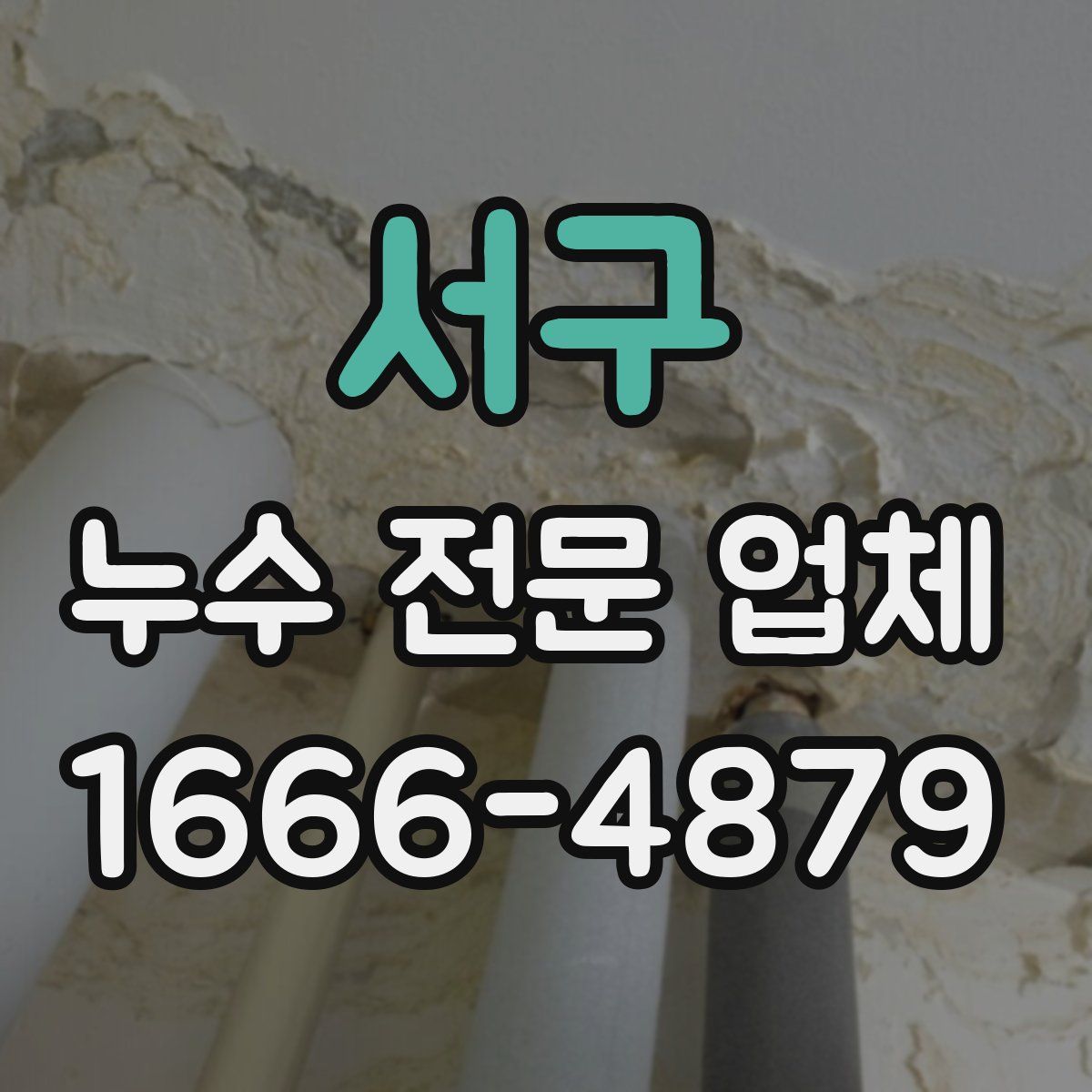 서구 누수 전문 업체