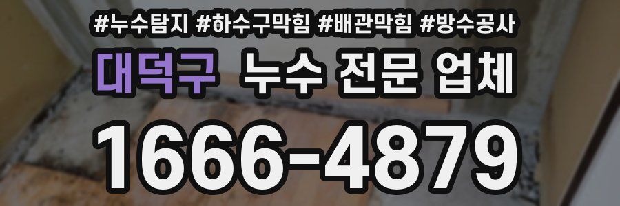 대덕구 누수 전문 업체