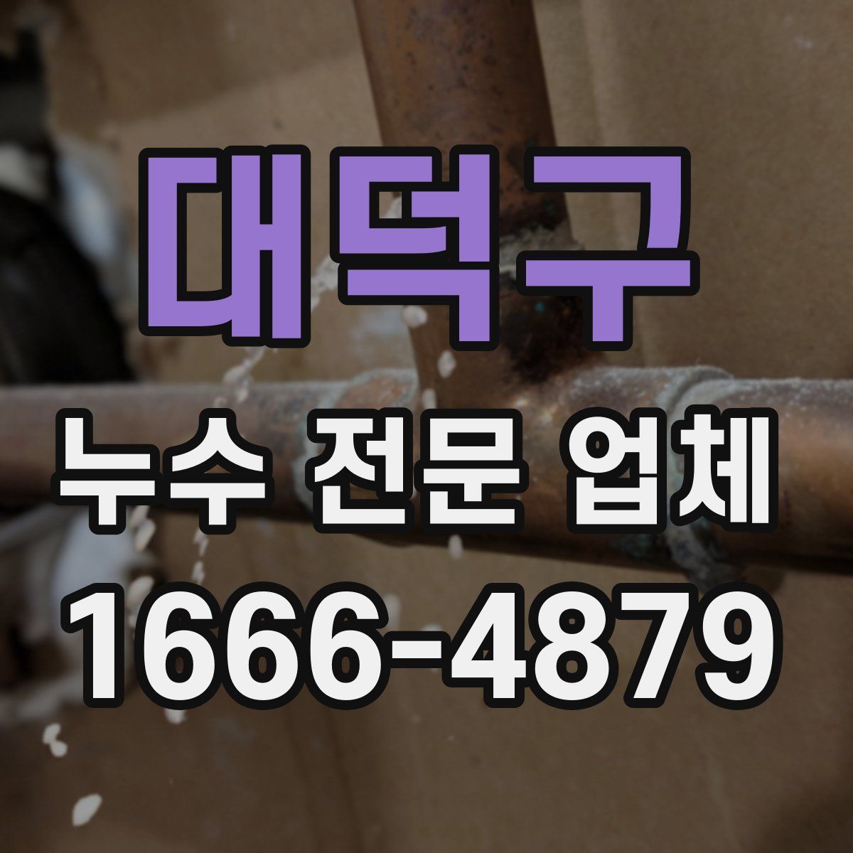 대덕구 누수 전문 업체