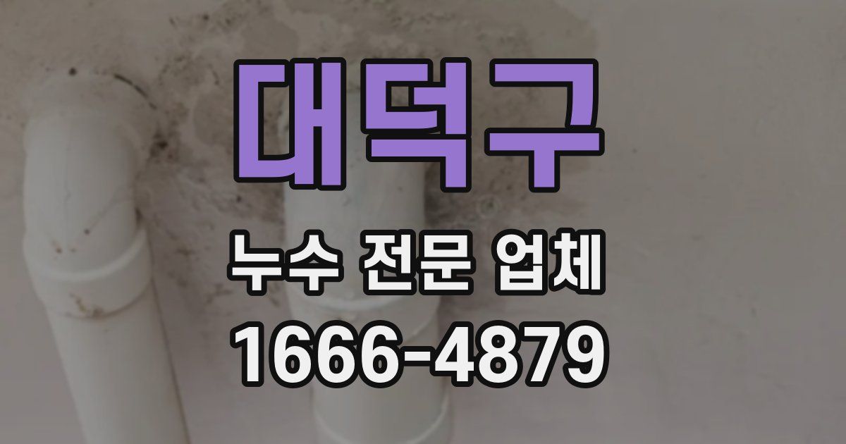 대덕구 누수 전문 업체