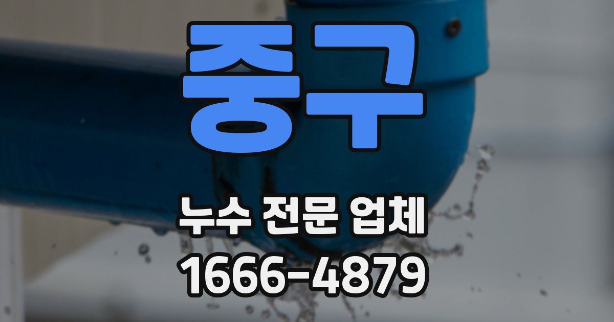 중구 누수 전문 업체