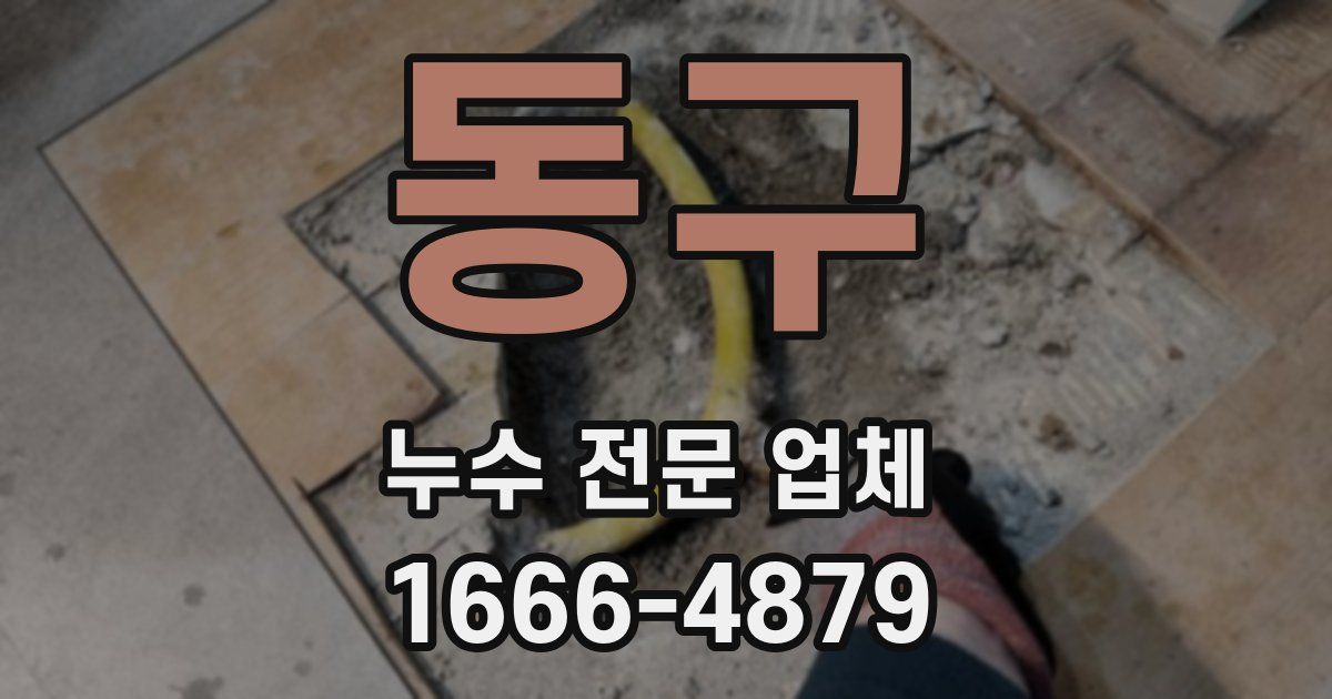동구 누수 전문 업체