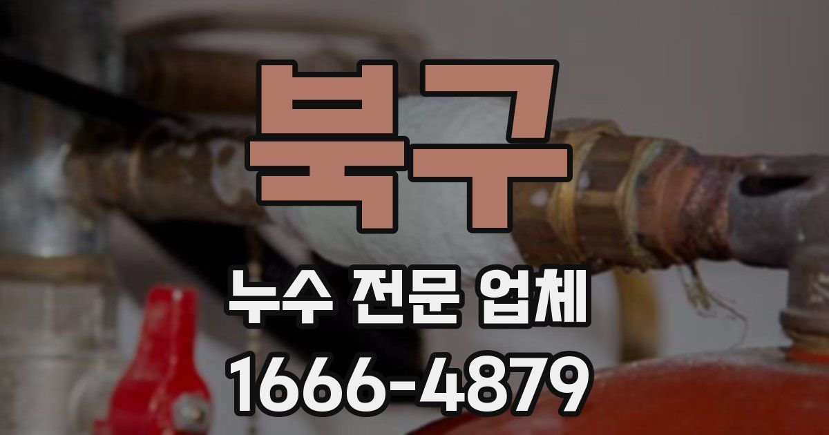 북구 누수 전문 업체