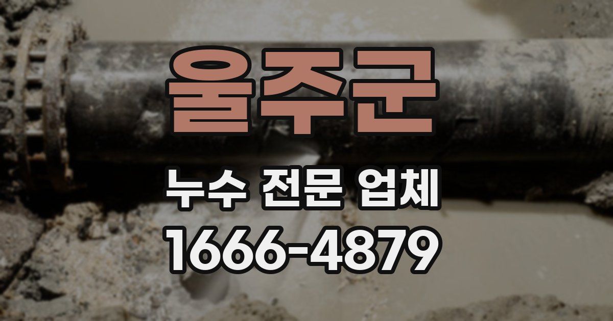 울주군 누수 전문 업체