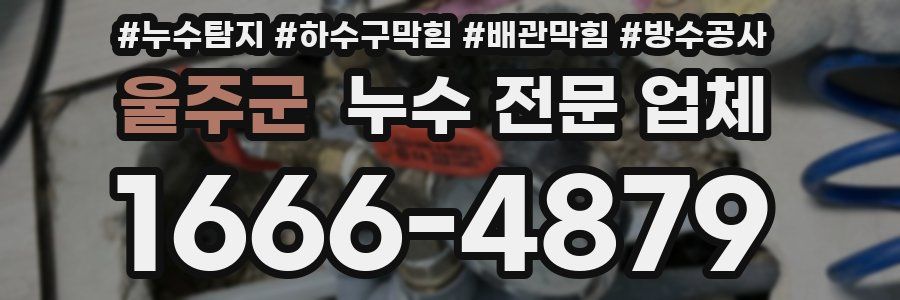 울주군 누수 전문 업체