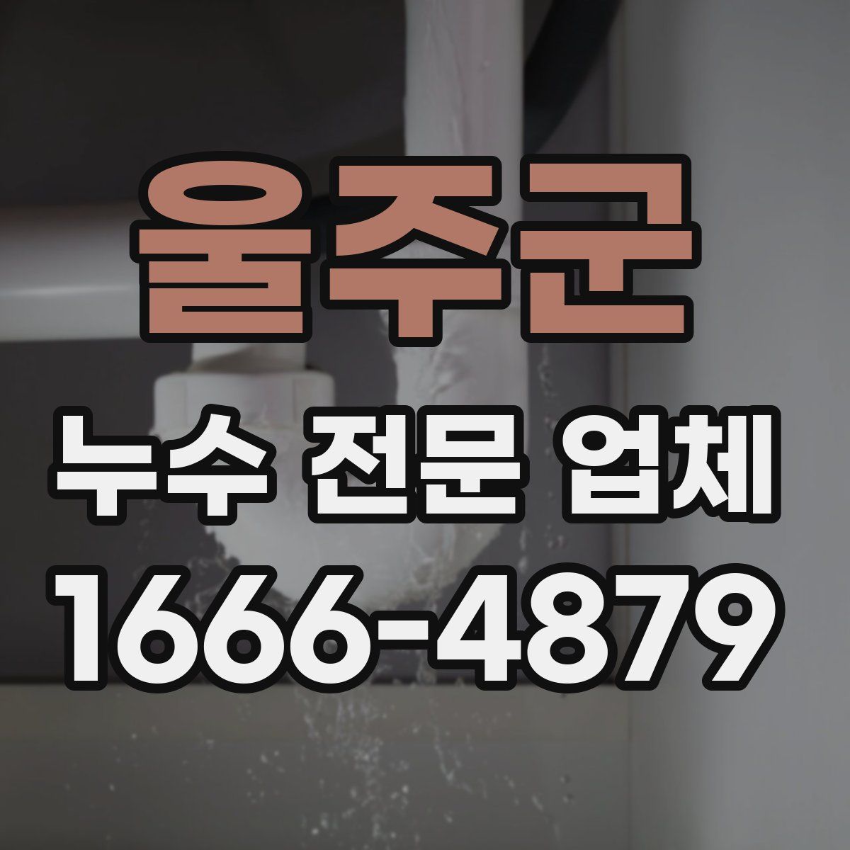 울주군 누수 전문 업체