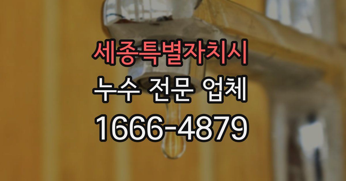 세종특별자치시 누수 전문 업체