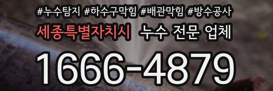 세종특별자치시 누수 전문 업체
