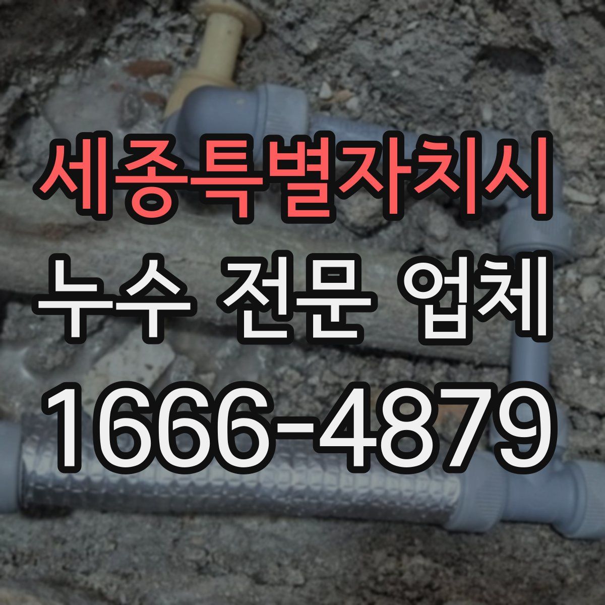 세종특별자치시 누수 전문 업체