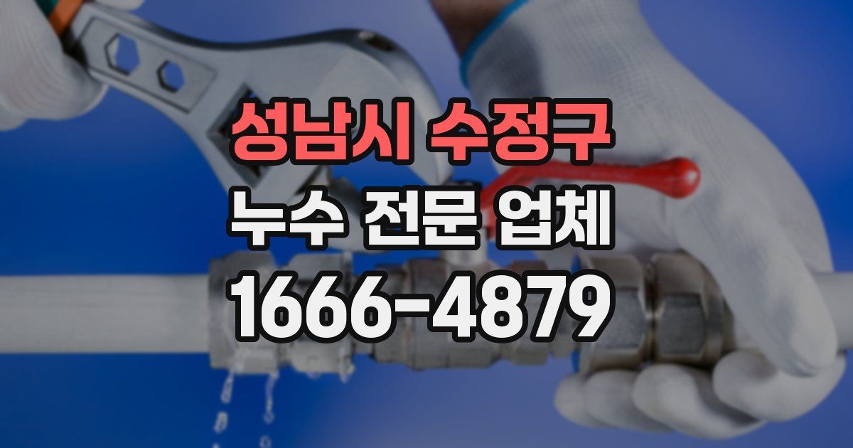 성남시 수정구 누수 전문 업체