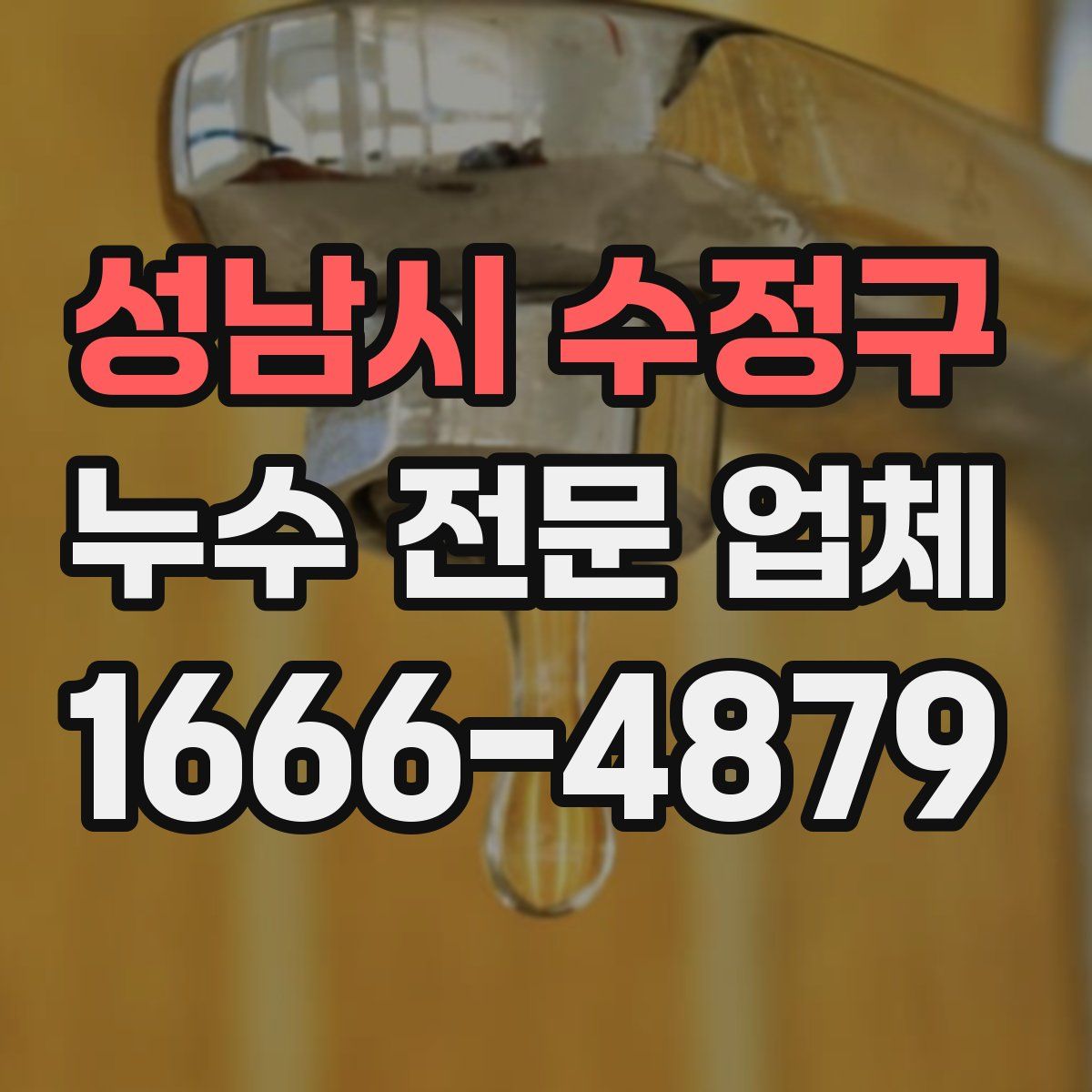 성남시 수정구 누수 전문 업체
