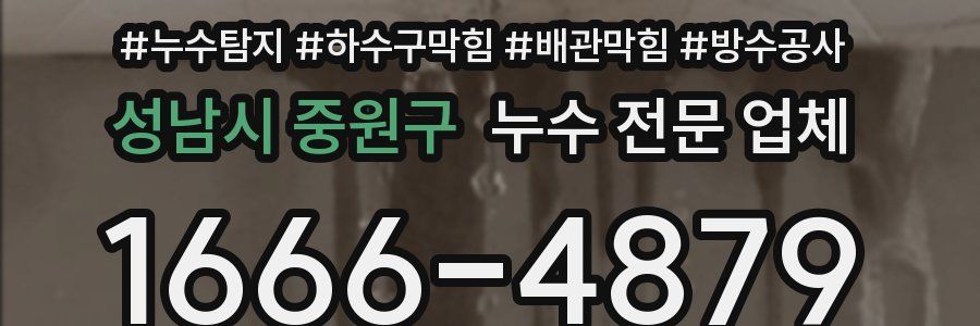 성남시 중원구 누수 전문 업체