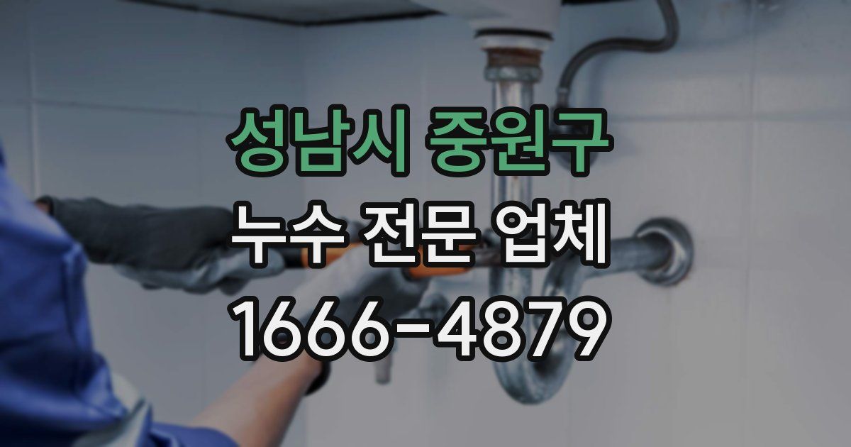 성남시 중원구 누수 전문 업체