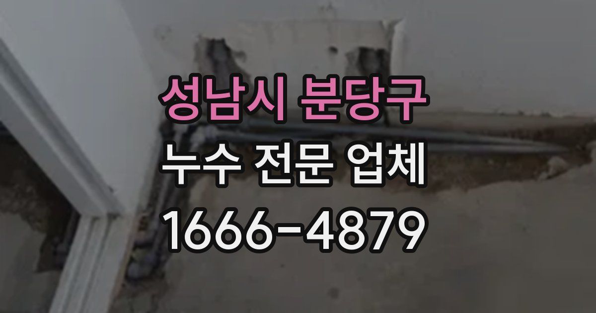 성남시 분당구 누수 전문 업체
