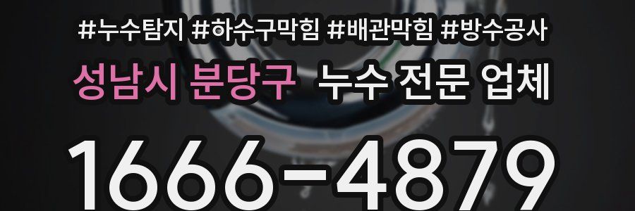 성남시 분당구 누수 전문 업체