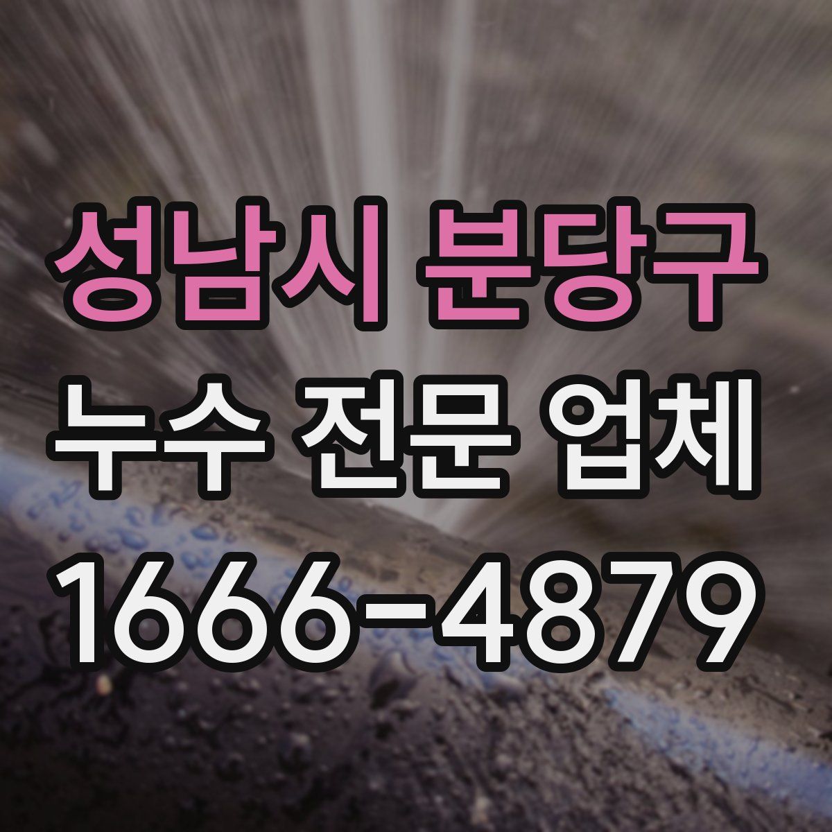성남시 분당구 누수 전문 업체