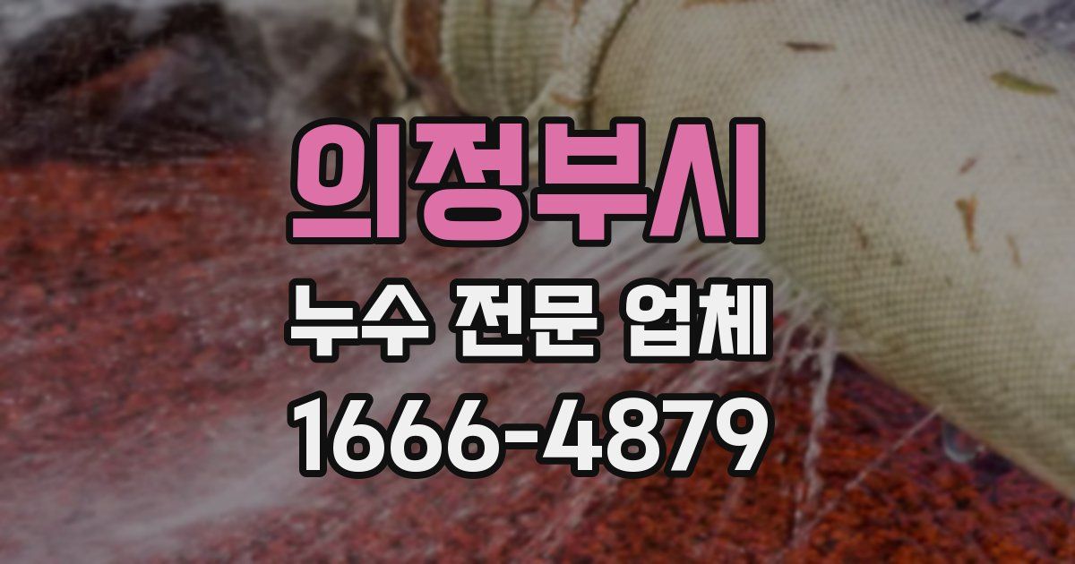 의정부시 누수 전문 업체